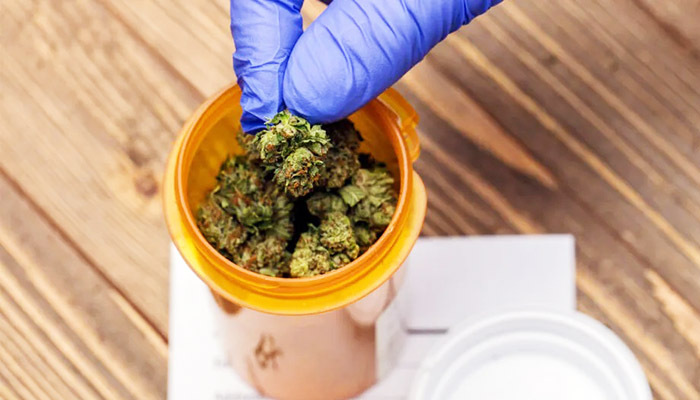Exploring The Meaning Of Zaza What Is It CannabisRXHealth